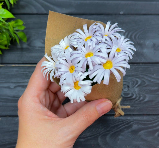 Tiny Flowers: Blooming Daisy Bouquet