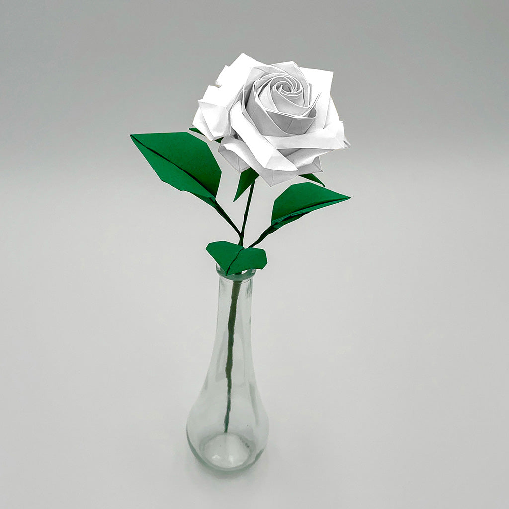 White Japanese Hybrid Tea Rose