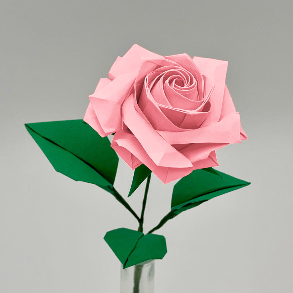 Pink Japanese Hybrid Tea Rose