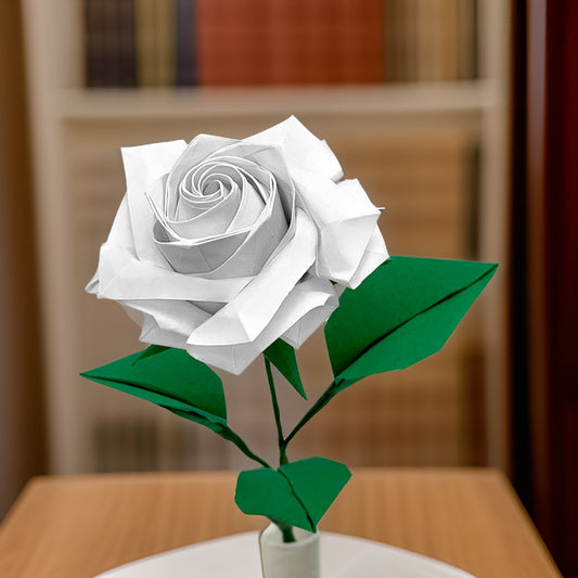 White Japanese Hybrid Tea Rose