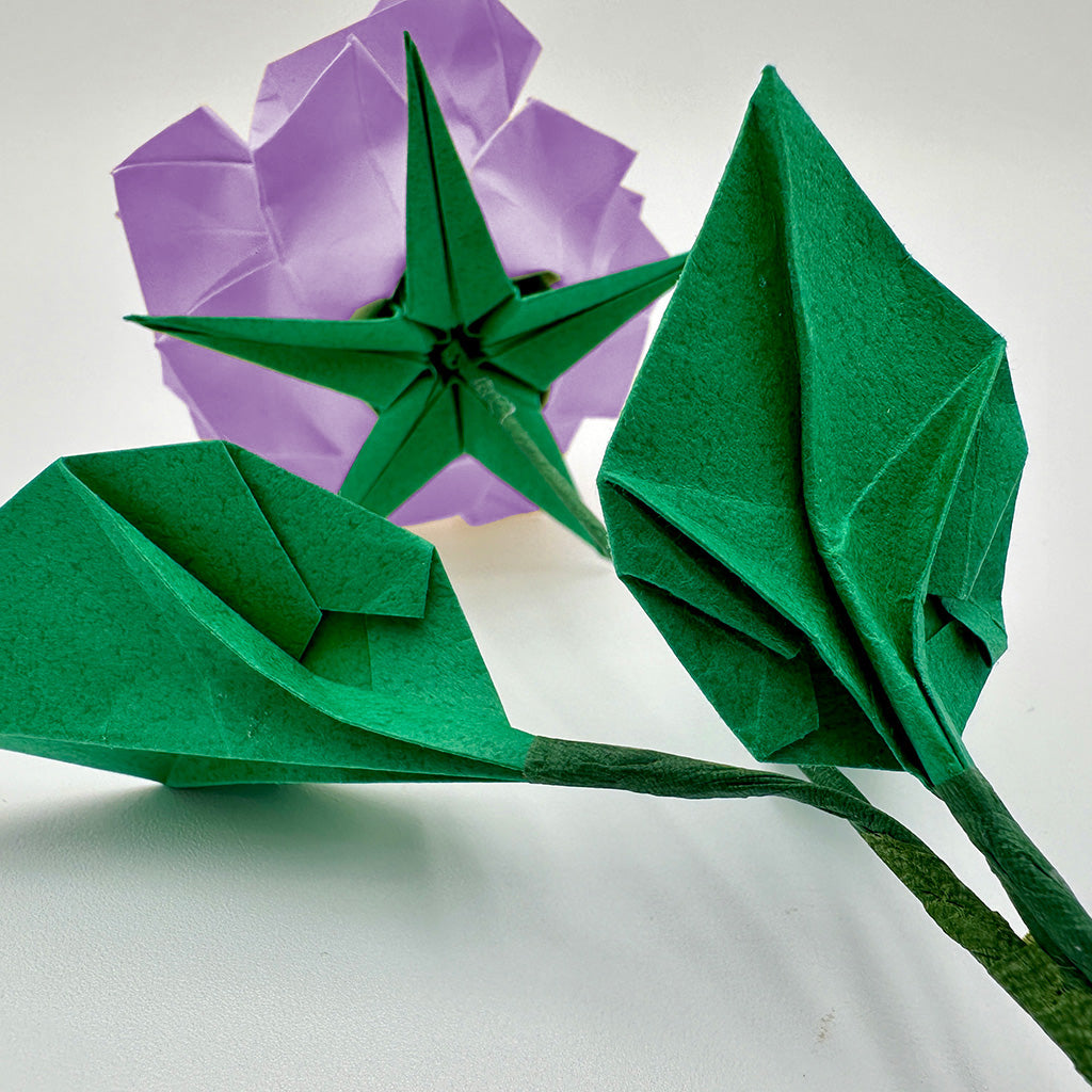 Lilac Japanese Hybrid Tea Rose