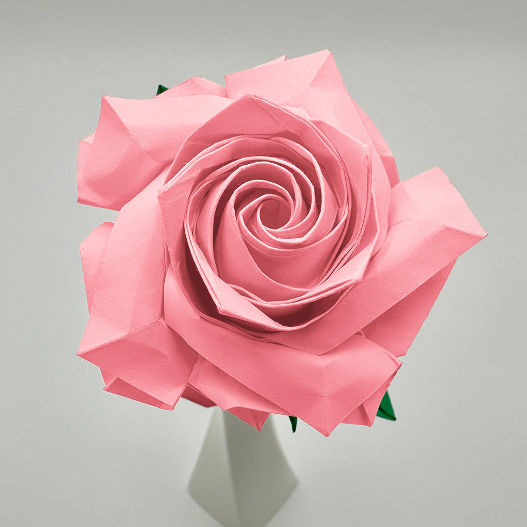 Pink Japanese Hybrid Tea Rose